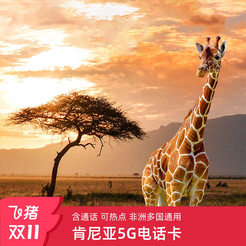 高速流量,畅游4G