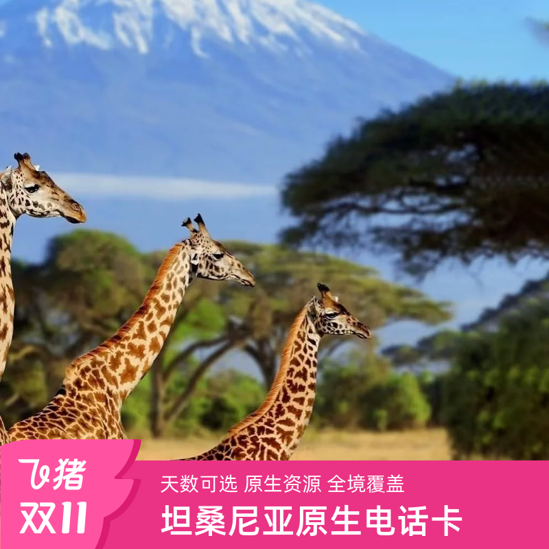 坦桑尼亚电话卡