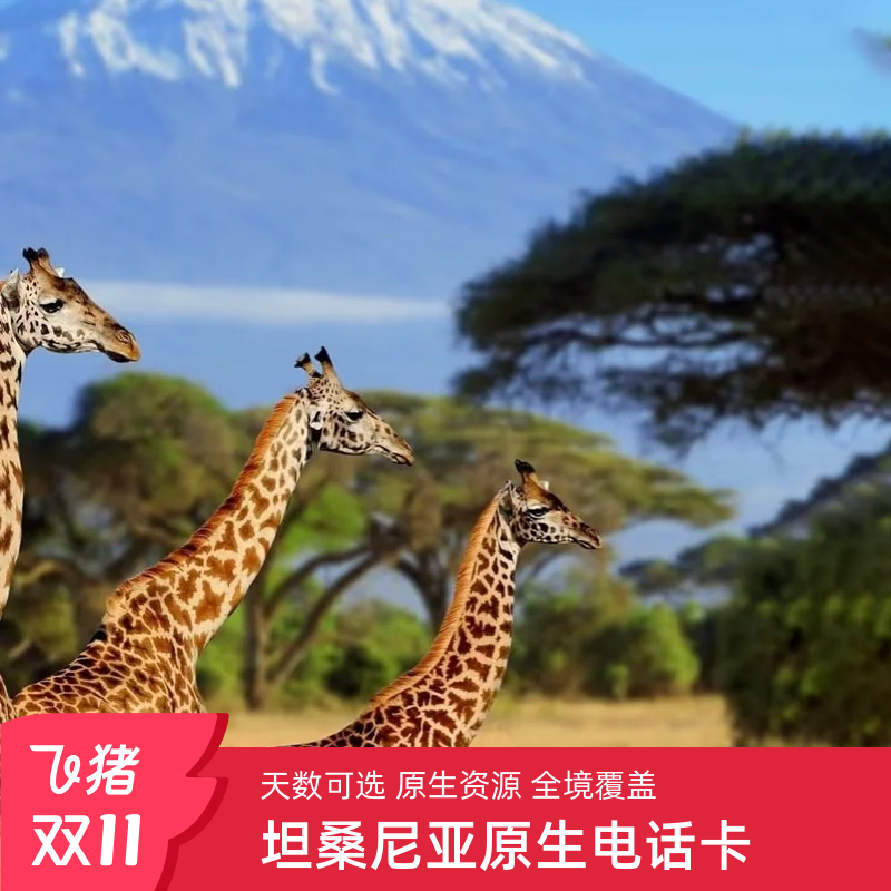 坦桑尼亚电话卡