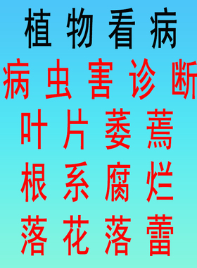 室内盆栽植物医生得病虫害诊断植物看病养花咨询根系腐烂叶片萎蔫