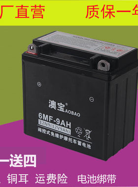 12v摩托车电瓶铃木钱江电池