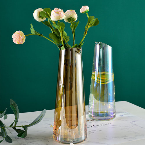 法兰水晶玻璃花瓶客厅装饰品插花水培壶简单的家透明现代创意花盆
