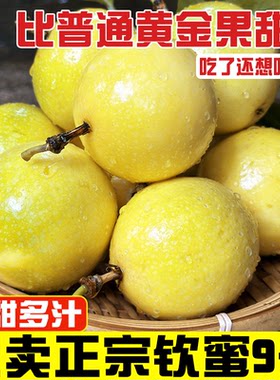钦蜜9号黄金百香果现摘一级大果