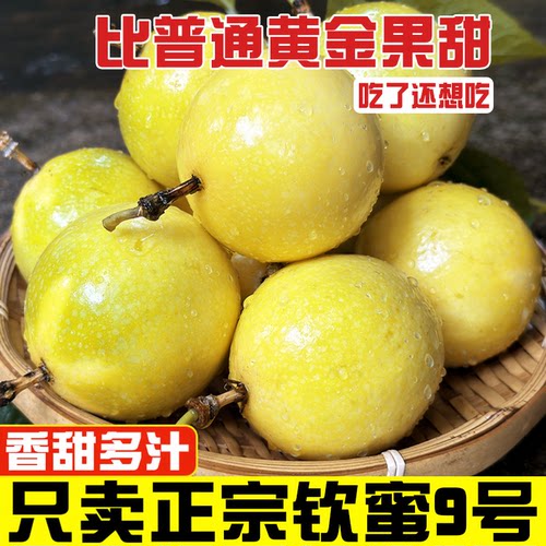 农家自种钦蜜9号黄金百香果大果