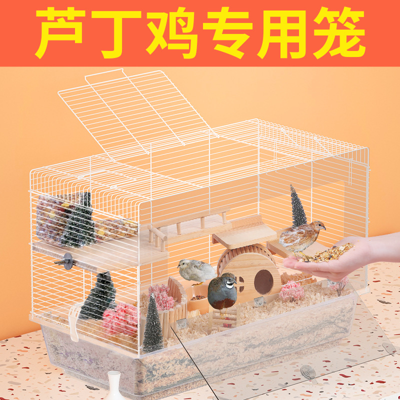 芦丁鸡饲养箱专用笼亚克力笼子花枝鼠垫料造景用品宠物喂食器柜笼