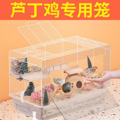 芦丁鸡饲养箱专用笼亚克力笼子花枝鼠垫料造景用品宠物喂食器柜笼