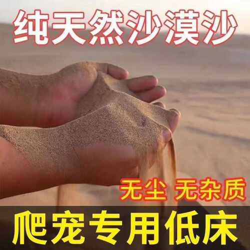 刺猬仓鼠金丝熊乌龟小宠物沙