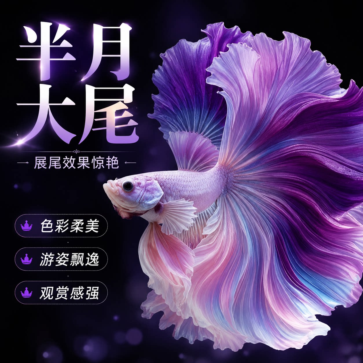 泰国斗鱼热带观赏鱼糖果将军公母半月狮王公活体网红夜市摆摊彩色