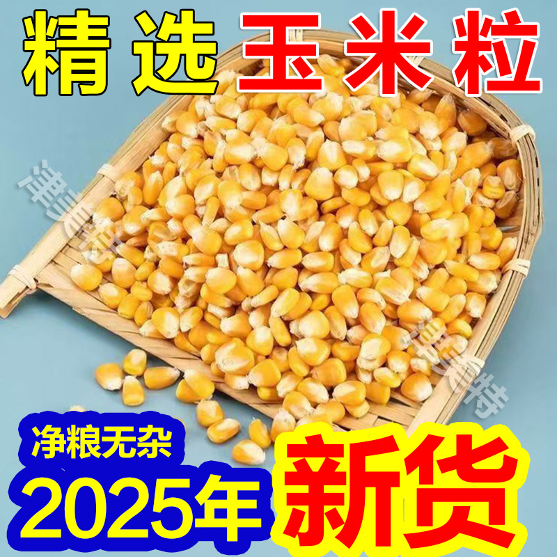 50斤玉米粒喂鸡饲料鸽粮特价批发