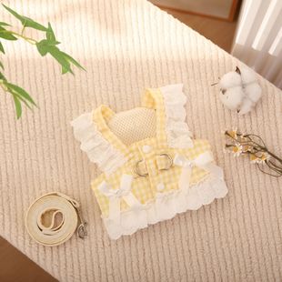 幼猫幼犬高颜值公主裙超小体约克夏泰迪狗狗兔兔猫咪牵引绳背带