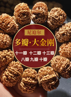 尼泊尔8910111213瓣八九十十一十二瓣大金刚菩提子文玩手串红黄皮