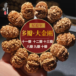 尼泊尔8910111213瓣八九十十一十二瓣大金刚菩提子文玩手串红黄皮