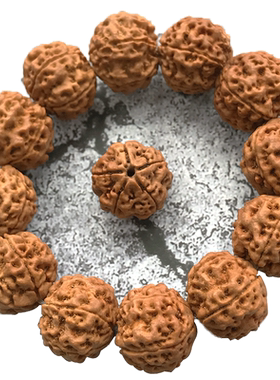 金诗文玩毕业级蜂窝大金刚菩提子