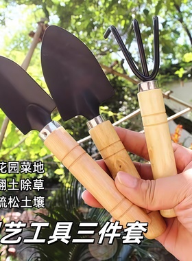 种花工具家用套装种菜栽花养花多肉盆栽耙子铁锹园艺小铲子三件套