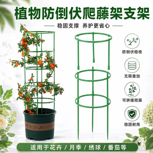 植物爬藤花架子室内外防倒伏支架