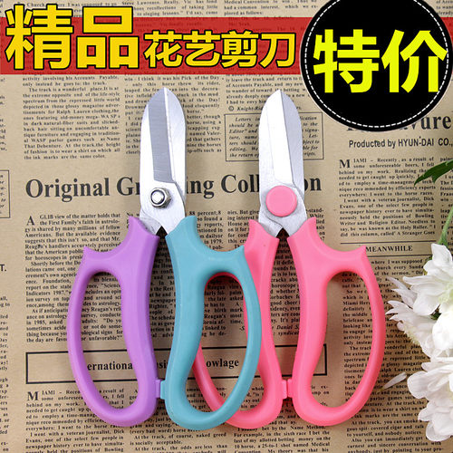 花剪鲜花花枝树枝修花修枝工具插花剪园艺花艺剪刀家用宽头花道剪