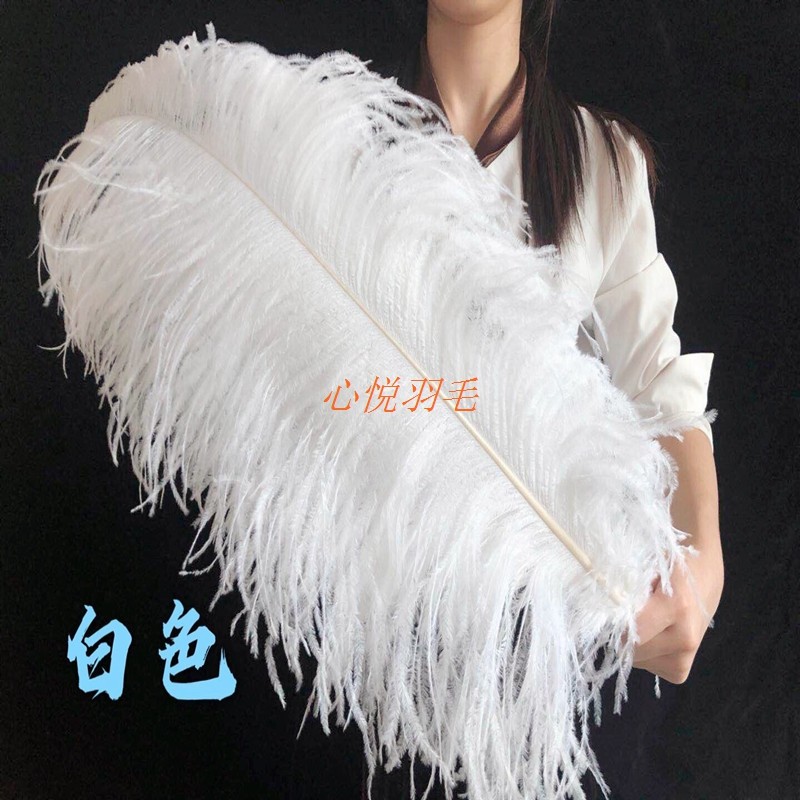 鸵鸟羽毛白色婚庆鸵鸟毛 路引拍照道具摆件网红粉色ins大羽毛装饰
