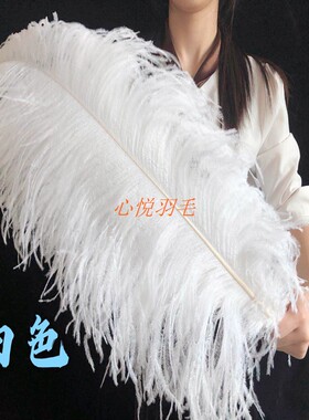 鸵鸟羽毛婚庆鸵鸟毛 路引拍照道具摆件网红白色ins大羽毛装饰