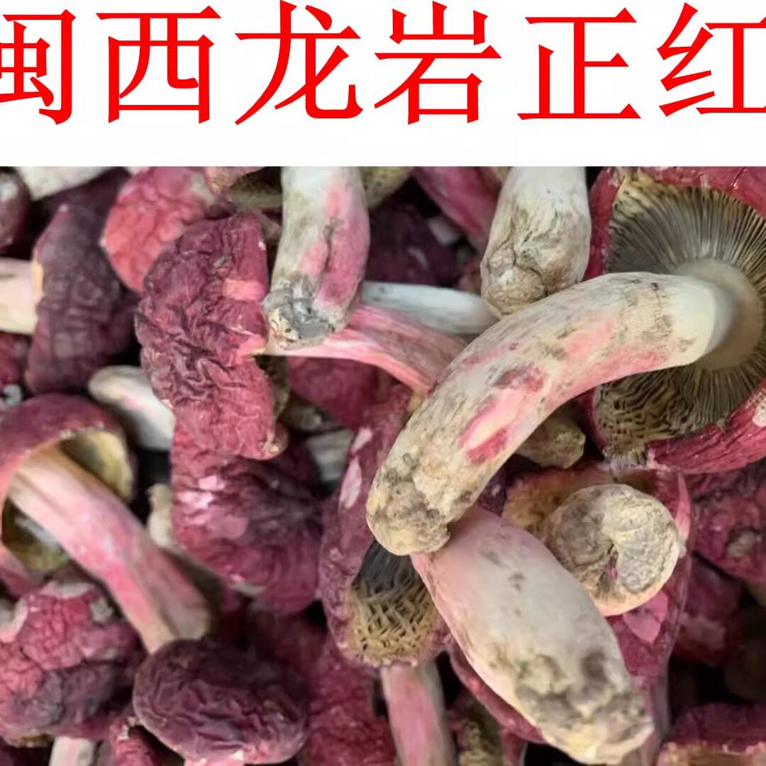 正宗野生红菇炖汤清甜营养滋补