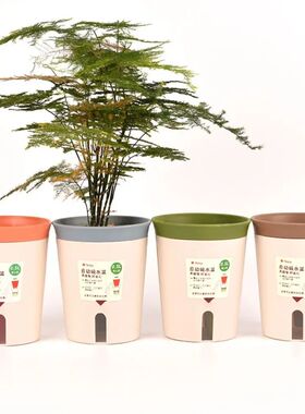 Self Watering Planter Lazy Hydroponic Flower Pot Plastic Off