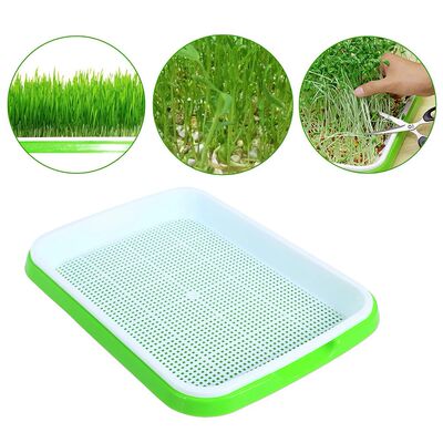 Nursery Pots Tray Grow Basket Hydroponics Microgreens Plate