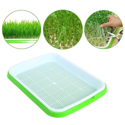 Nursery Pots Tray Grow Basket Hydroponics Microgreens Plate