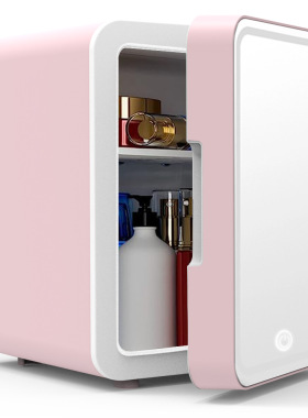 Car Refrigerator Beauty Mini Small Car Home Dual-use Cosmeti