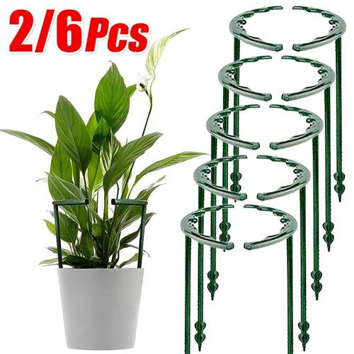 2/6Pcs Plant Support Pile Stand Semicircle Frame Fixed Rod H