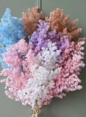 永生干花diy橱窗蓬莱松