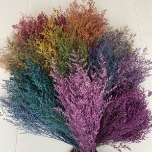 永生花干花吸色情人草ins婚礼策划客厅插花家居软装摆件diy材料包