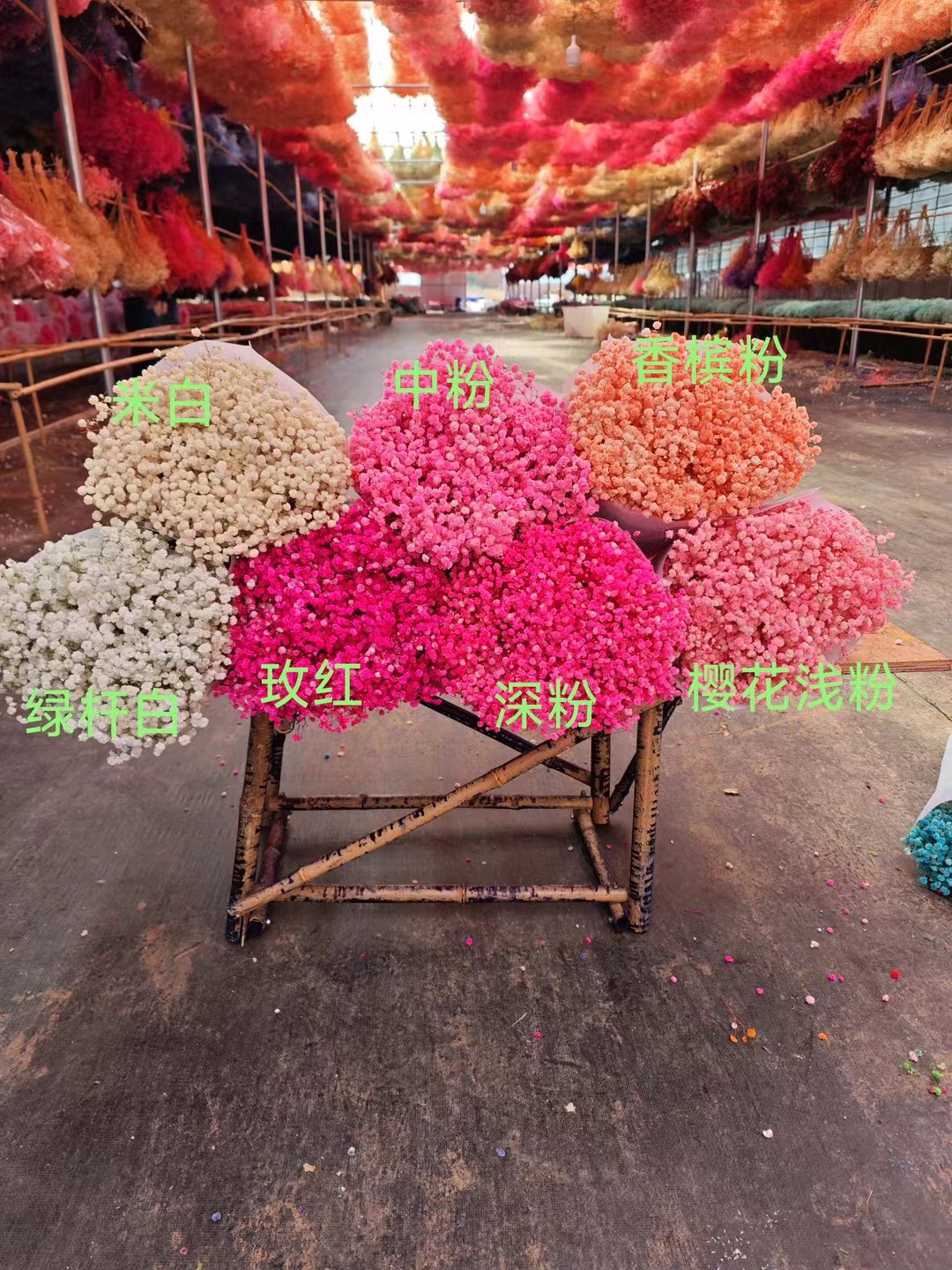 云南永生满天星厂家直销真花干花花束手工材料包客厅家居装饰diy