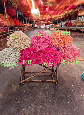 云南永生满天星厂家直销真花干花花束手工材料包客厅家居装饰diy