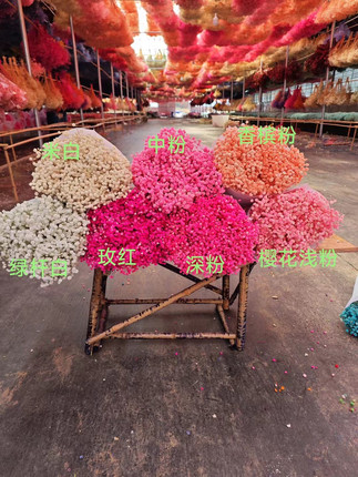 云南永生满天星厂家直销真花干花花束手工材料包客厅家居装饰diy