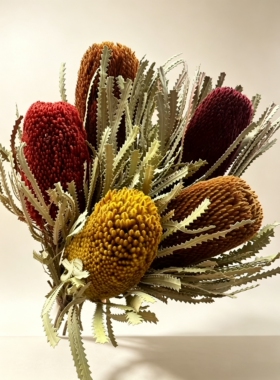 班克木干花佛塔花永生花美陈民宿软装花材摄影道具干花大量现货