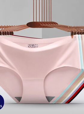 BZEL 6PCS/Set Women's Panties Seamless Female Underwear Plus