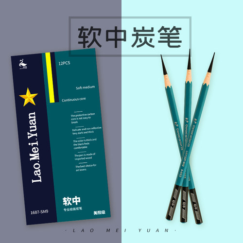 老美院软中硬炭笔美术绘画炭笔