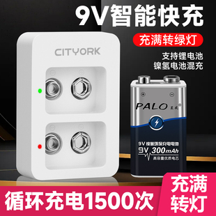 9V充电器可充电电池万用表体温枪仪器仪表吉他9号伏6F22小方块电