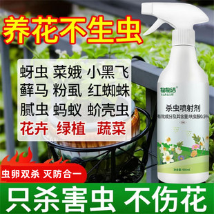 治花虫的药灭花盆小黑飞净去室内长寿月季花里有小飞虫药杀除虫剂