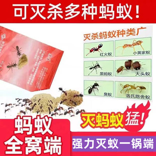 厚生红火蚁蚂蚁药粉全窝室内家用农用菜地户外无小蚂蚁端毒除厨房