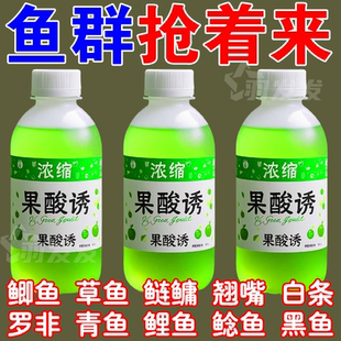 正宗野钓高浓度强效钓鱼小药鱼饵鲫鲤草青鱼饵窝料果酸诱鱼添加剂