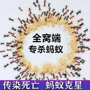带翅膀蚂蚁药会飞驱飞蚁驱赶驱水蚁防大水去白马祛白蚁祛除杀水白