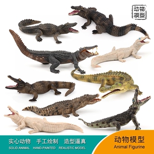 儿童仿真模型两栖动物鳄鱼玩具尼罗鳄野猪鳄扬子鳄野生动物礼物