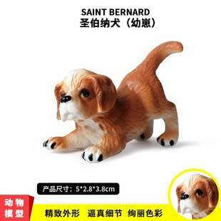 实心仿真动物狗狗模型玩具新款圣伯纳幼犬 圣伯纳犬幼崽儿童玩偶