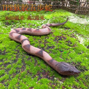 儿童仿真软胶蛇五步蛇银环蛇动物模型万圣节整蛊礼物男孩早教玩具