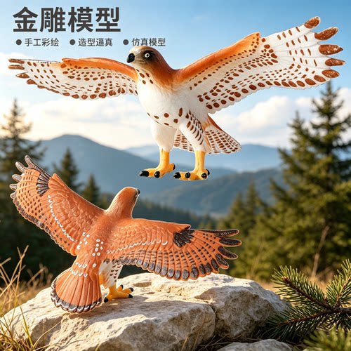 儿童仿真金雕动物模型早教益智