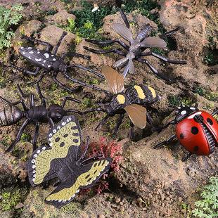 儿童仿真实心昆虫动物模型套装中号蝴蝶蜜蜂蚂蚁天牛蚊子瓢虫玩具
