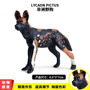 仿真野生动物模型实心非洲野狗土狼猎狗模型儿童塑胶玩具摆件男孩