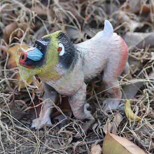 儿童仿真动物玩具野生动物模型实心山魈鬼狒狒灵长目认知礼品摆件