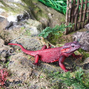 动物模型玩具仿真鬃狮蜥科莫多巨蜥儿童认知两栖爬行动物摆件礼物