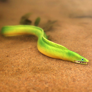 实心仿真海洋生物模型玩具迷你小海鳗电鳗鱼海洋动物儿童玩偶摆件